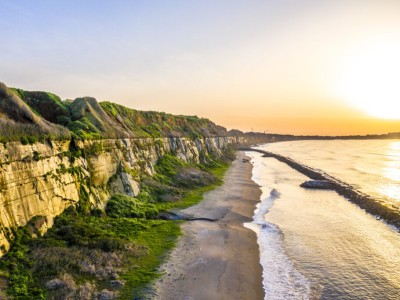 Byobugaura